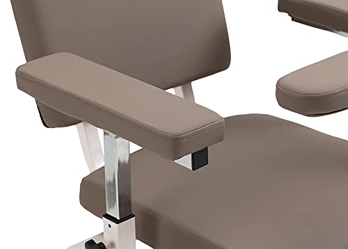 Gray Phlebotomy Chair X172