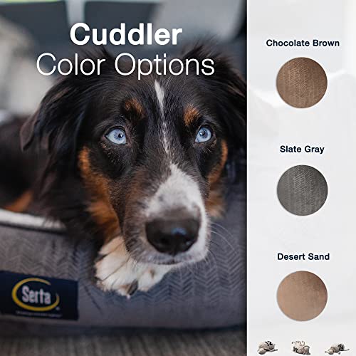 Slate Gray X-Large Orthopedic Dog Bed Y744