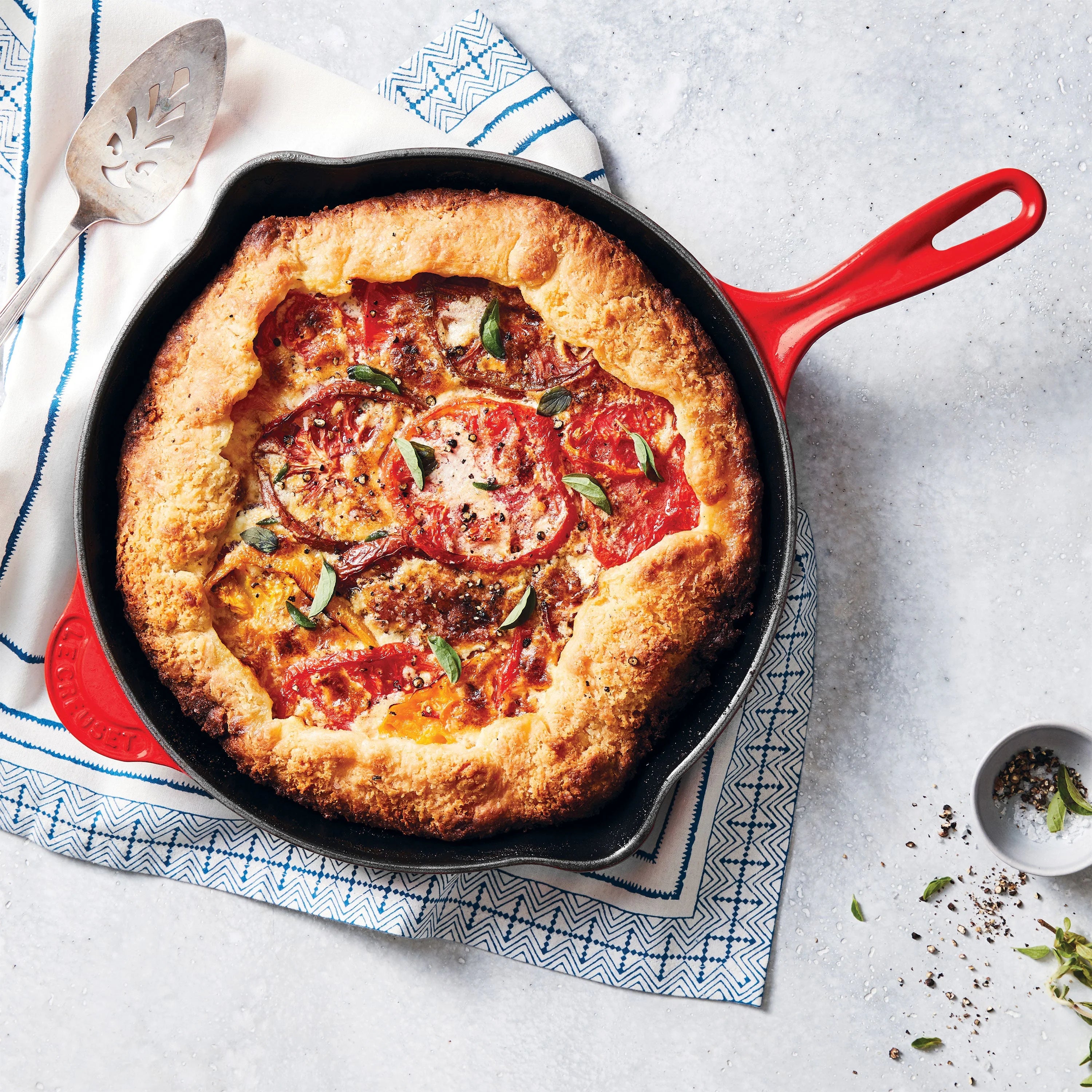 Enameled Cast-Iron 10-1/4-Inch Skillet with Iron Handle S724315