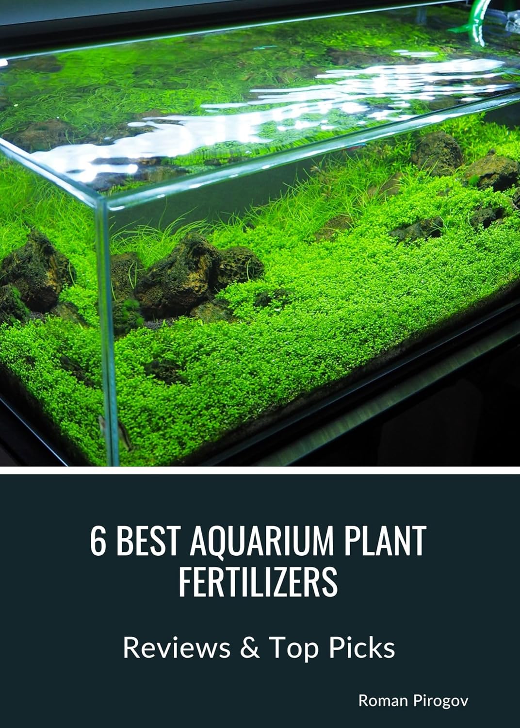 Aquarium Plant Fertilizers R848568