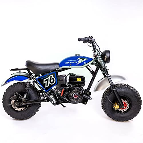 196cc Mini Bike with Front and Rear Brakes A24822