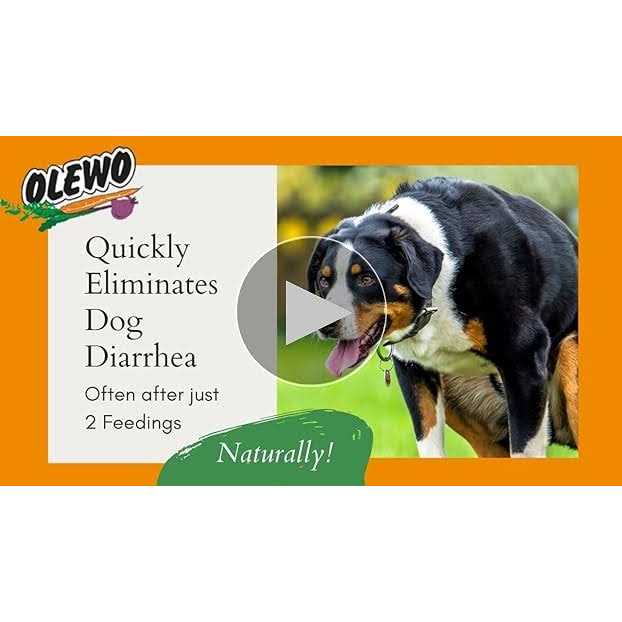 Original Carrots for Dogs H557473