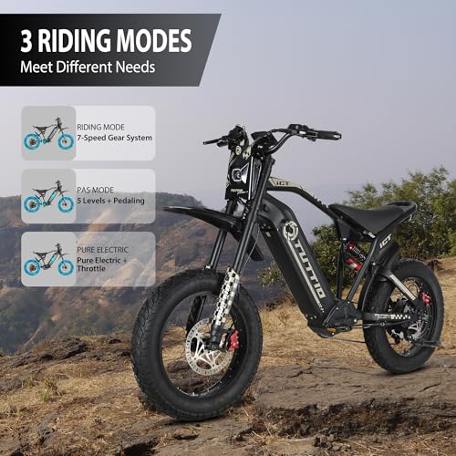 20" Fat Tire Electric Dirt Bike C561958