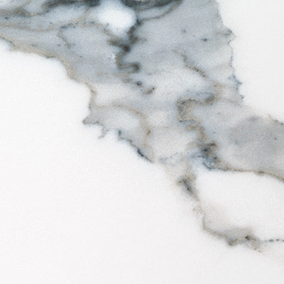 12 in. x 24 in. Polished Porcelain Floor And Wall Tile B897