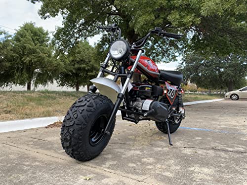196cc Mini Bike with Front and Rear Brakes A24822