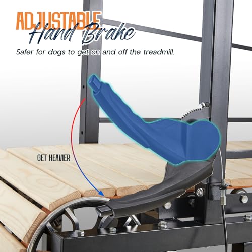 Enlarged Indoor Dog Treadmill U17990