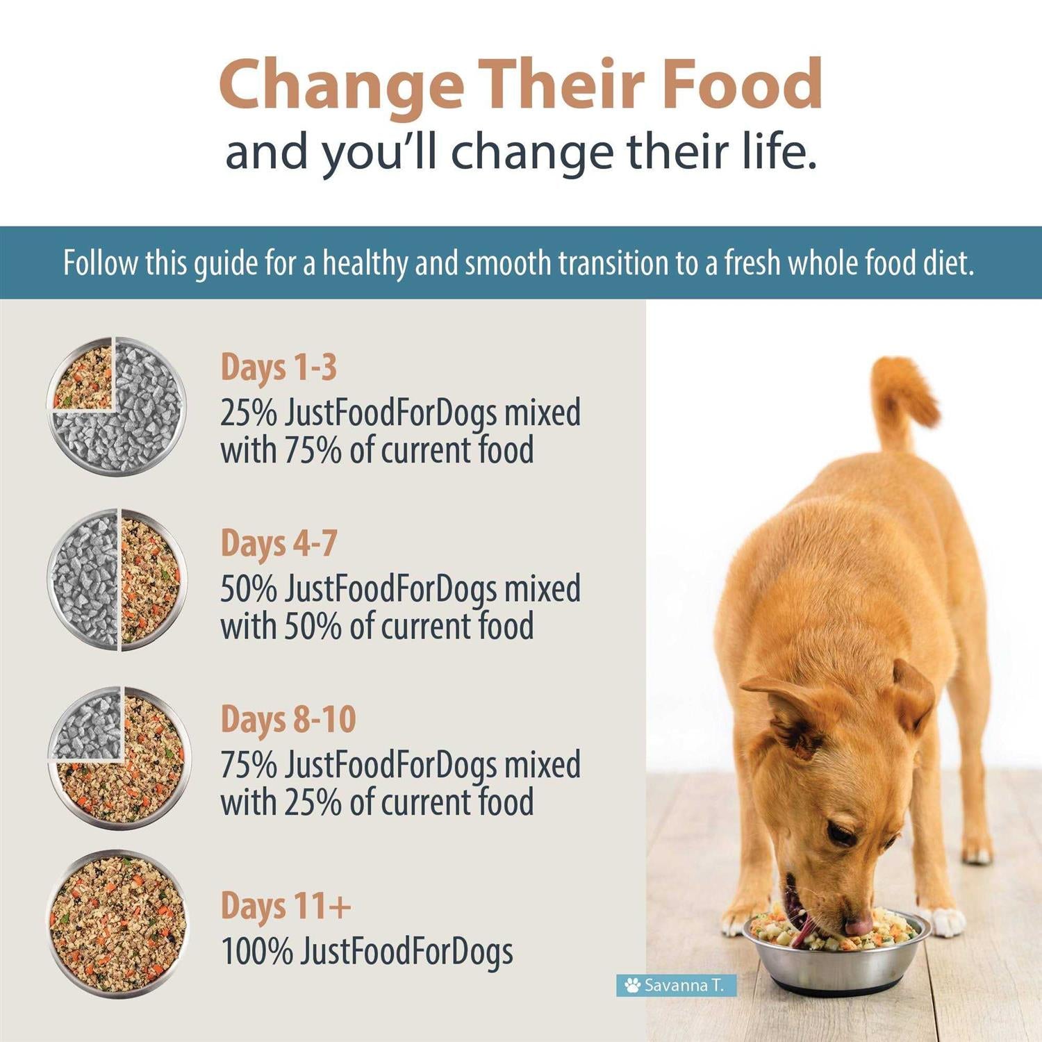 Rice Frozen Dog Food Q8128