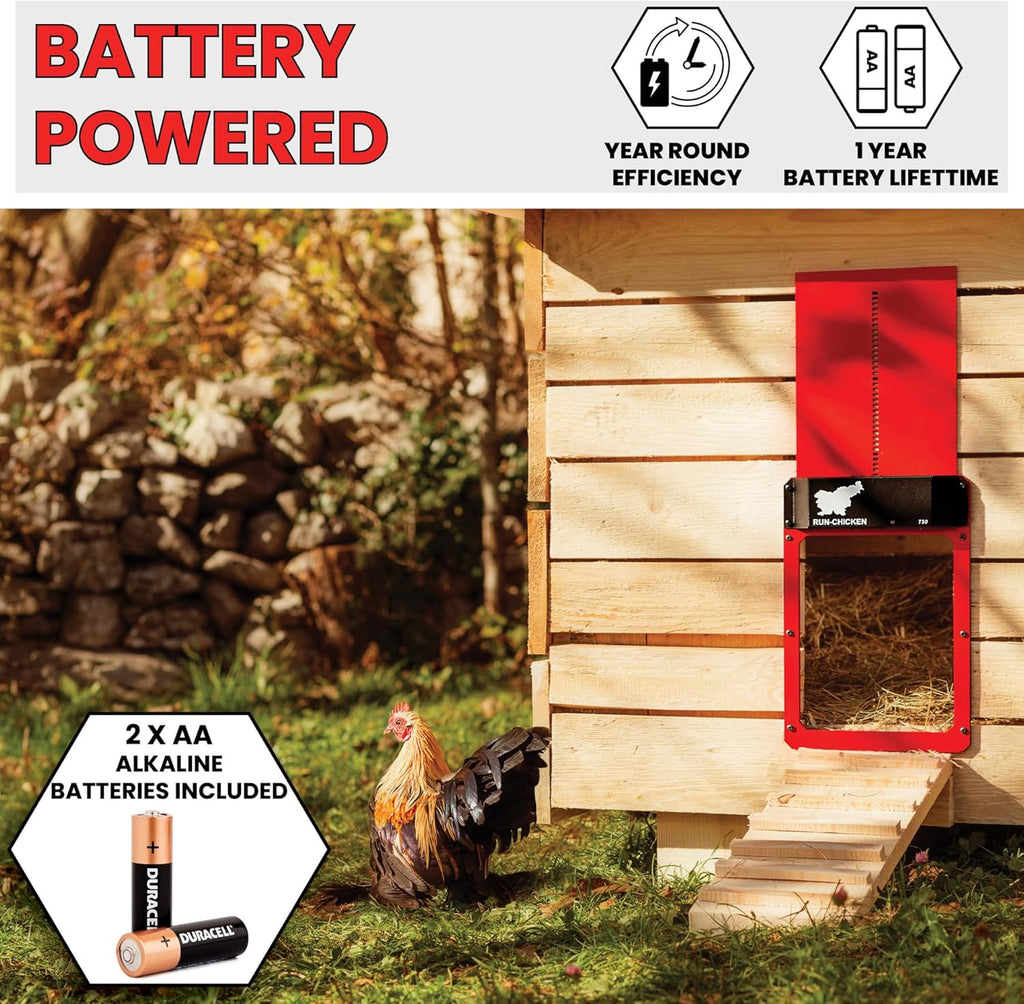 Red Chicken Door W8273