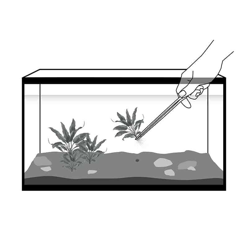 Aquarium Forceps N841