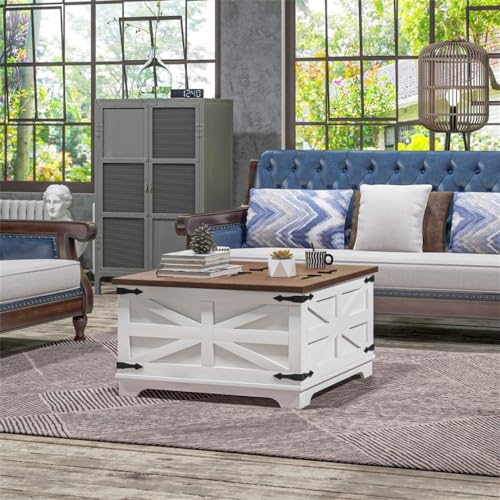 Distressed White & Brown Square Storage Coffee Table with Hinged Lift Top V924299