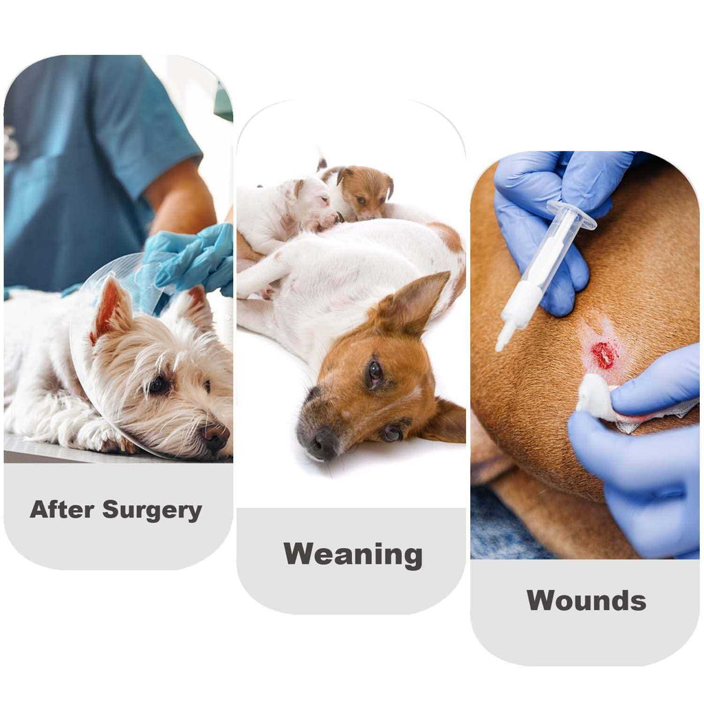 Dog Diapers Sanitary Panties Bodysuits Pet Recovery Suit Y2276