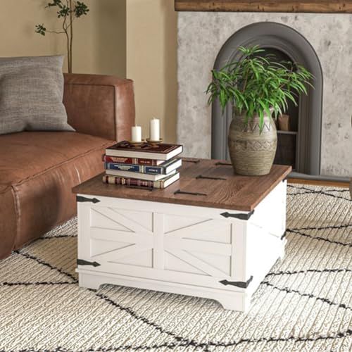 Distressed White & Brown Square Storage Coffee Table with Hinged Lift Top V924299
