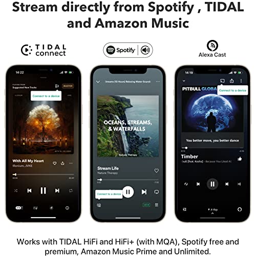 Wireless Audio Streamer J921874