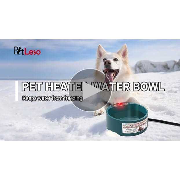 Dog Heated Water Bowl Y73754