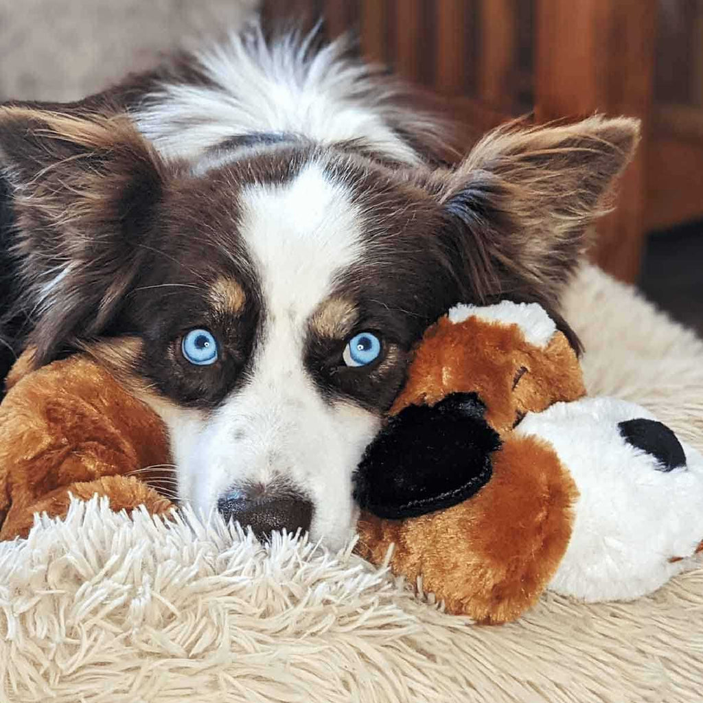 Brown and White Snuggle Puppy L758372