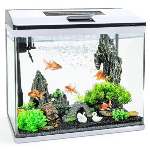 10 Gallon Glass Aquarium Fish Tank Starter Kit with Temperature and Time Display V99624