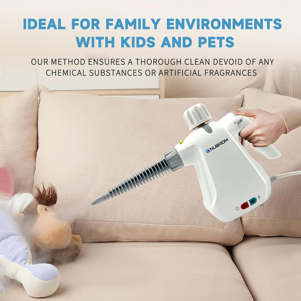 Pressurized Handheld Steam Cleaner with 10 pcs Accessories W83031