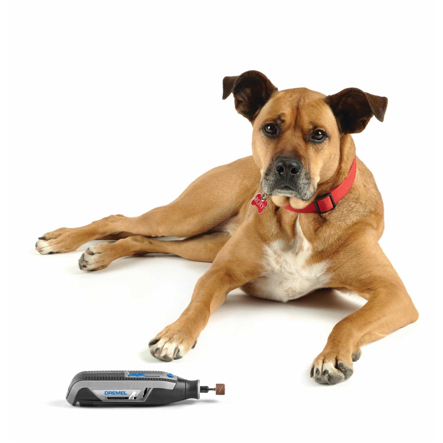 4 Volt Cordless Pet Nail Grooming Kit C920