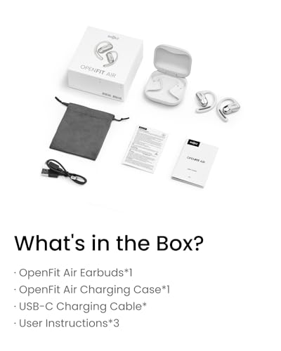 Black Open-Ear True Wireless Earbuds E21495