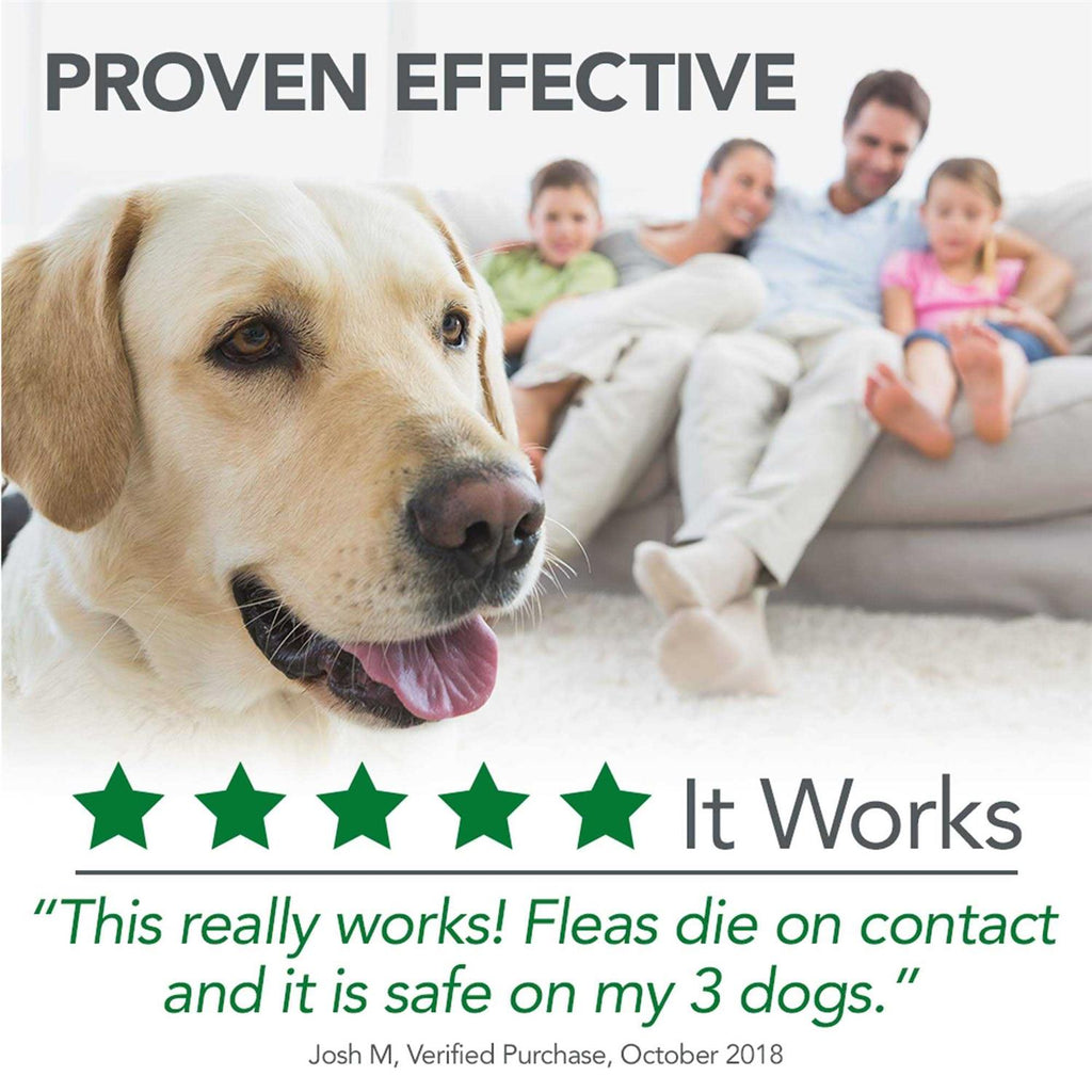 Flea Tick Home Spray H1261