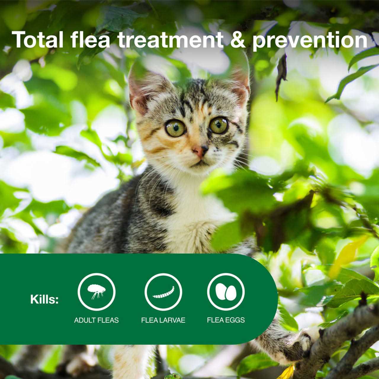 Advantage II Flea Treatment Cats O864507