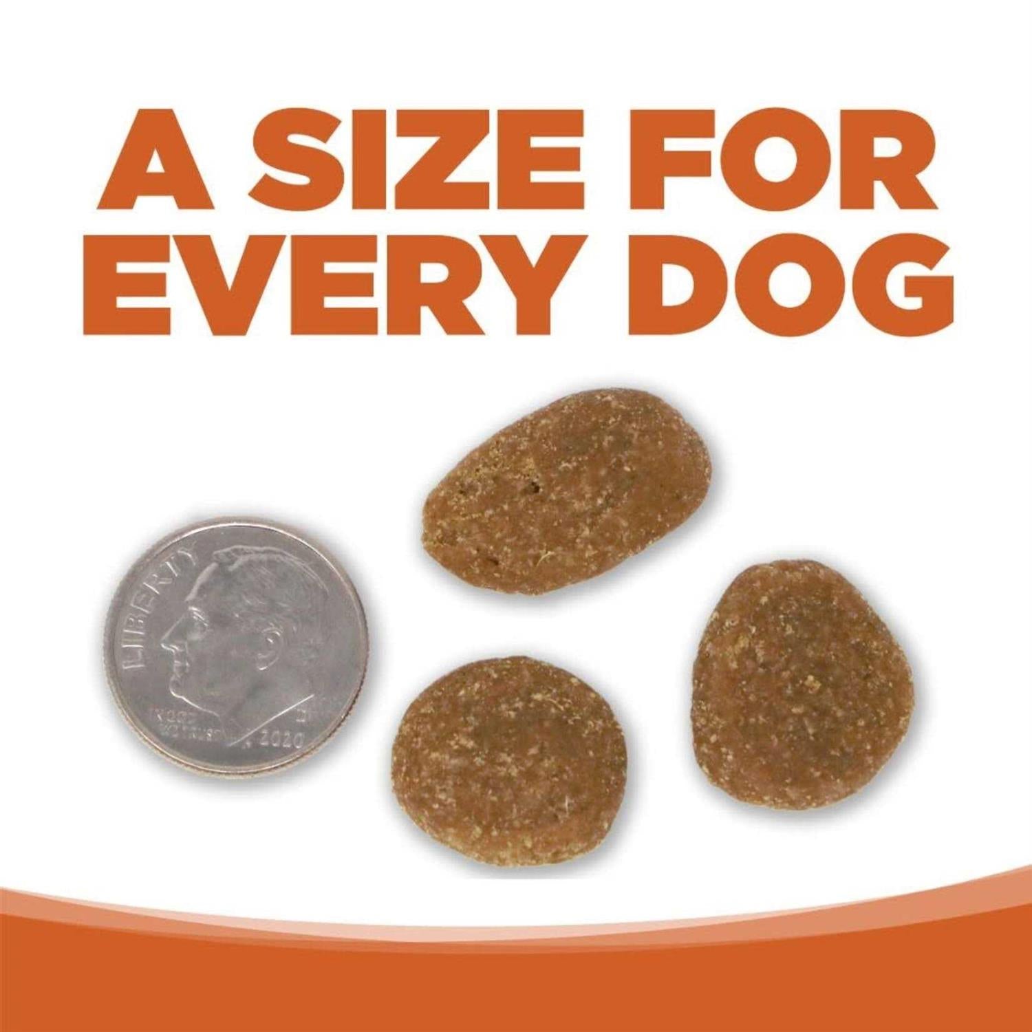 Dog Element Series Pet Supplies R163