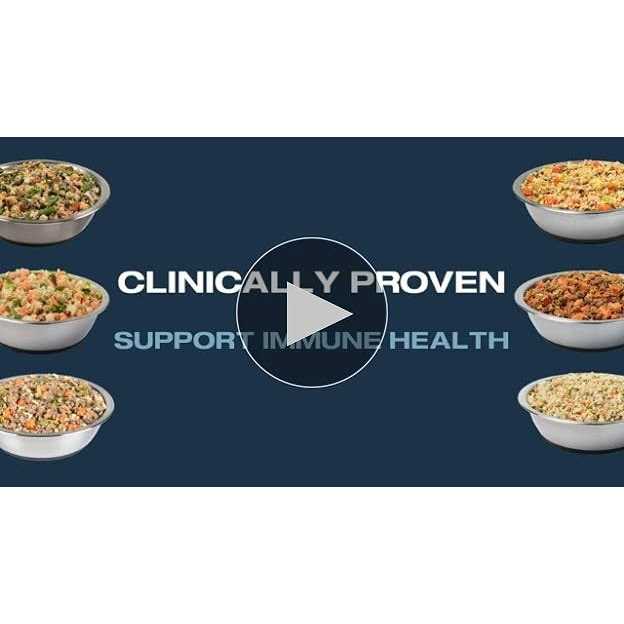 Rice Frozen Dog Food Q8128