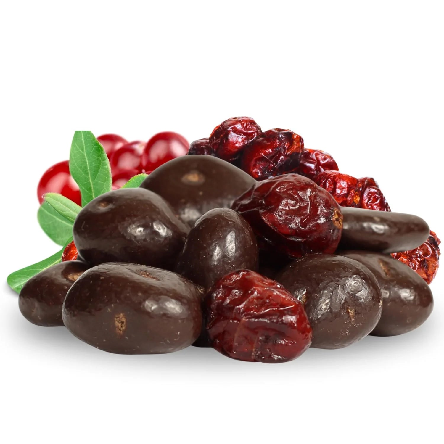 10 lbs Bulk Bag Dark Chocolate Covered Cranberries T584114