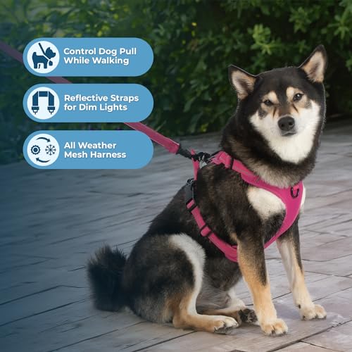 Purple Lattice Adjustable No-Pull Dog Harness J58677