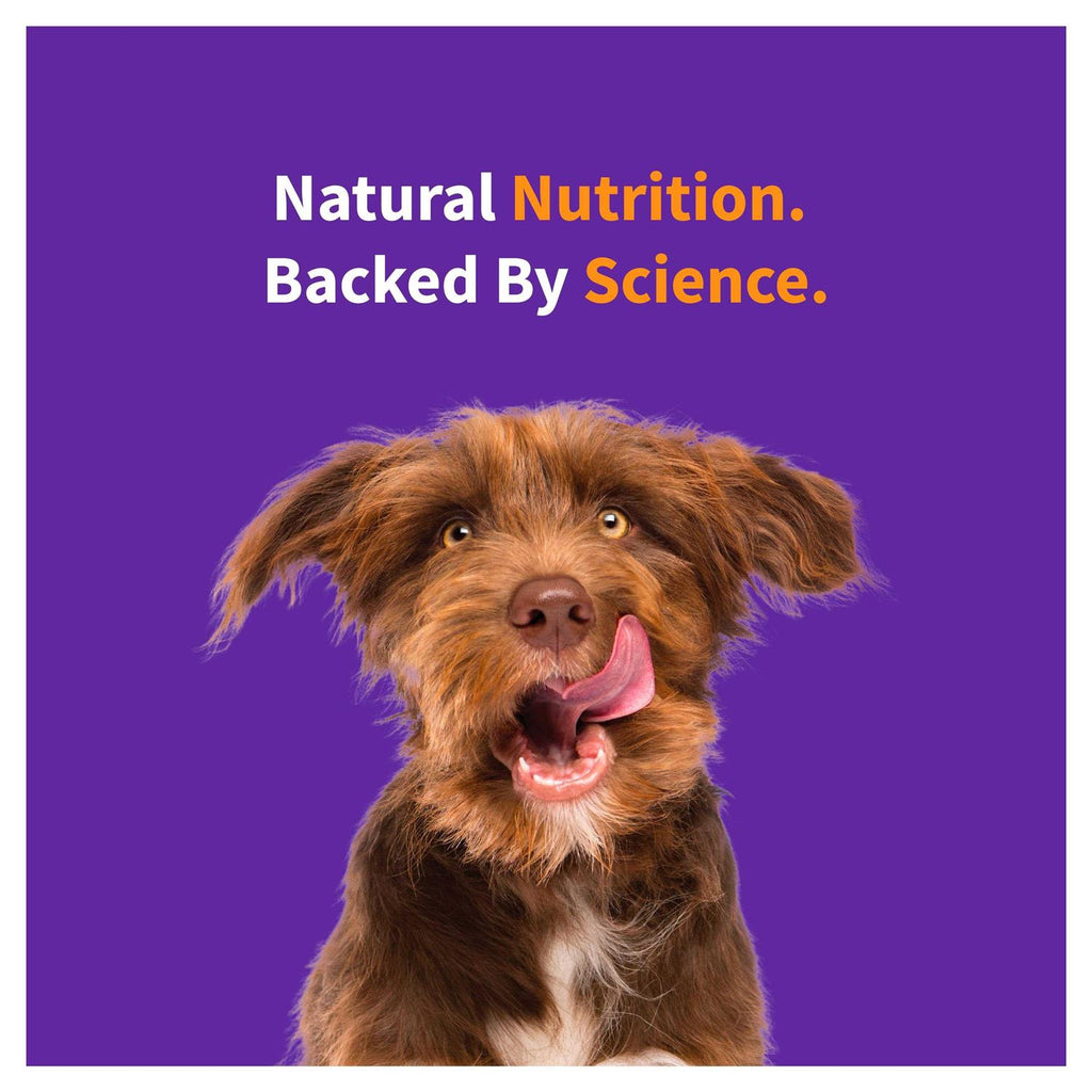 Red Meat Recipe Dry Dog Food J94405
