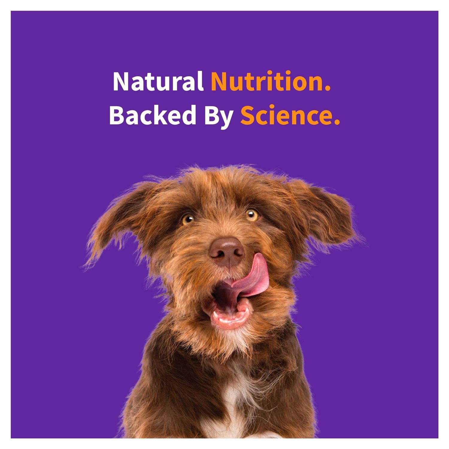 Red Meat Recipe Dry Dog Food J94405
