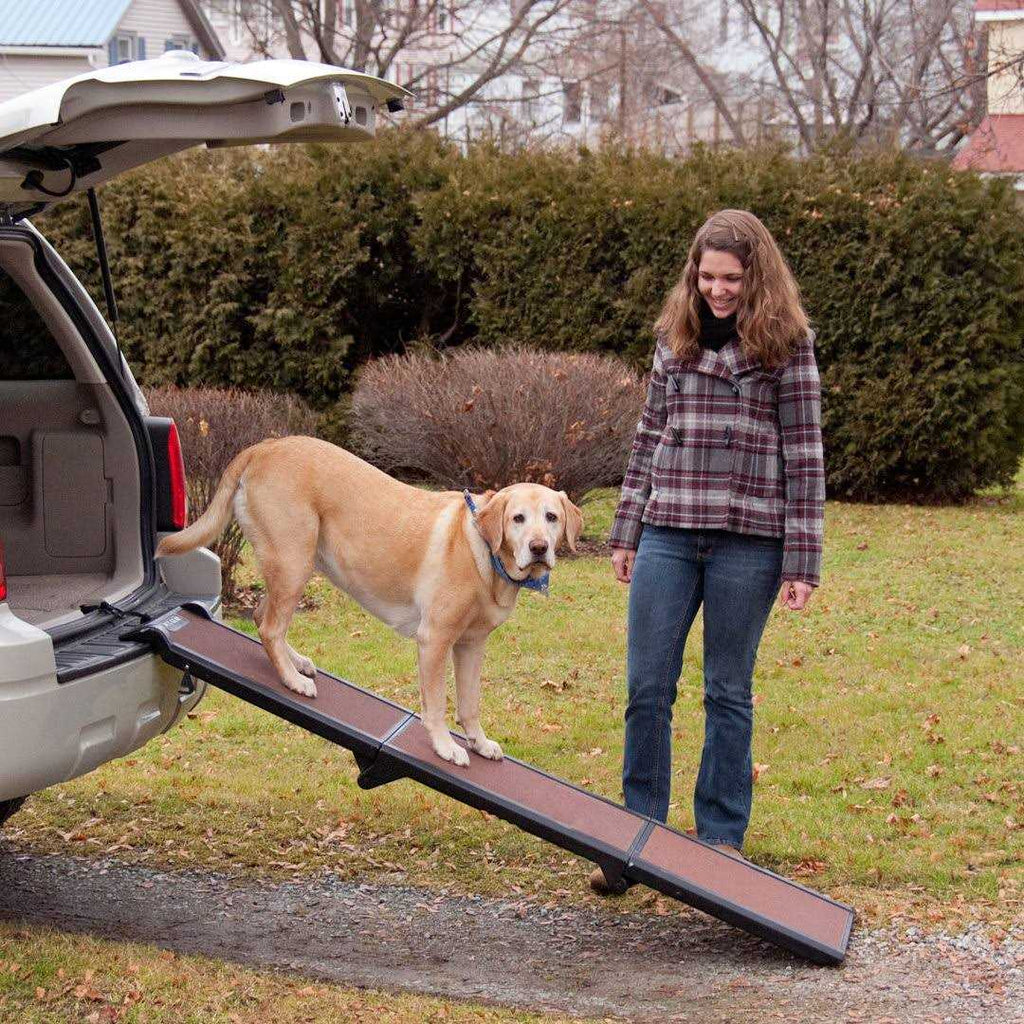 Tri-Fold Pet Ramp I50118