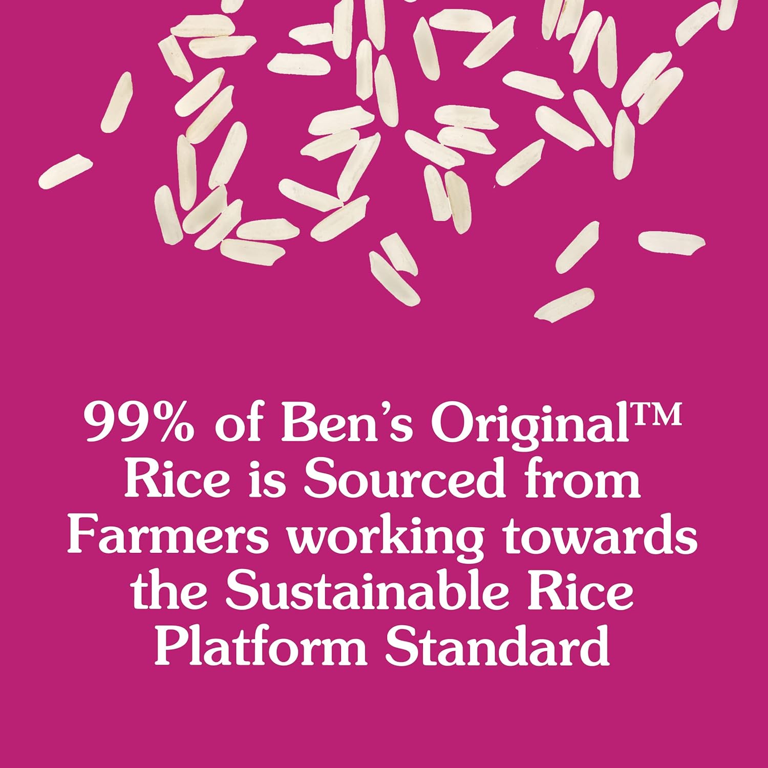 8.8 oz. (6 Pack) Spanish Style Rice W549