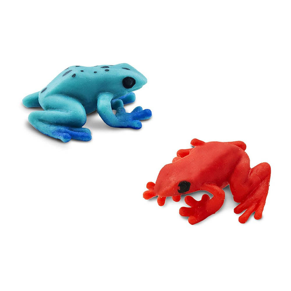 Poison Dart Frogs I2657