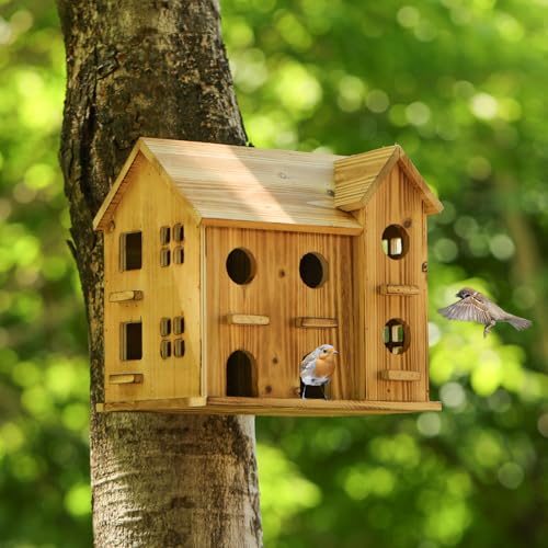 10 Hole Hanging Birdhouse Kit J11881
