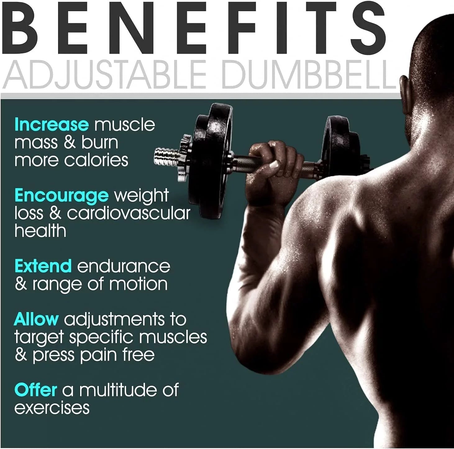 60 lbs Adjustable Cast Iron Dumbbell Pair H8373