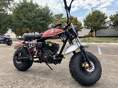 196cc Mini Bike with Front and Rear Brakes A24822