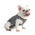 Dog Diapers Sanitary Panties Bodysuits Pet Recovery Suit Y2276
