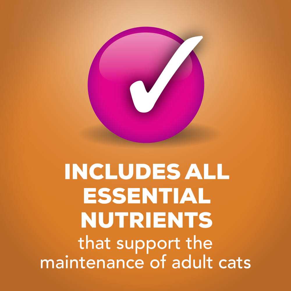 Chicken Pate Canned Cat Food K4951