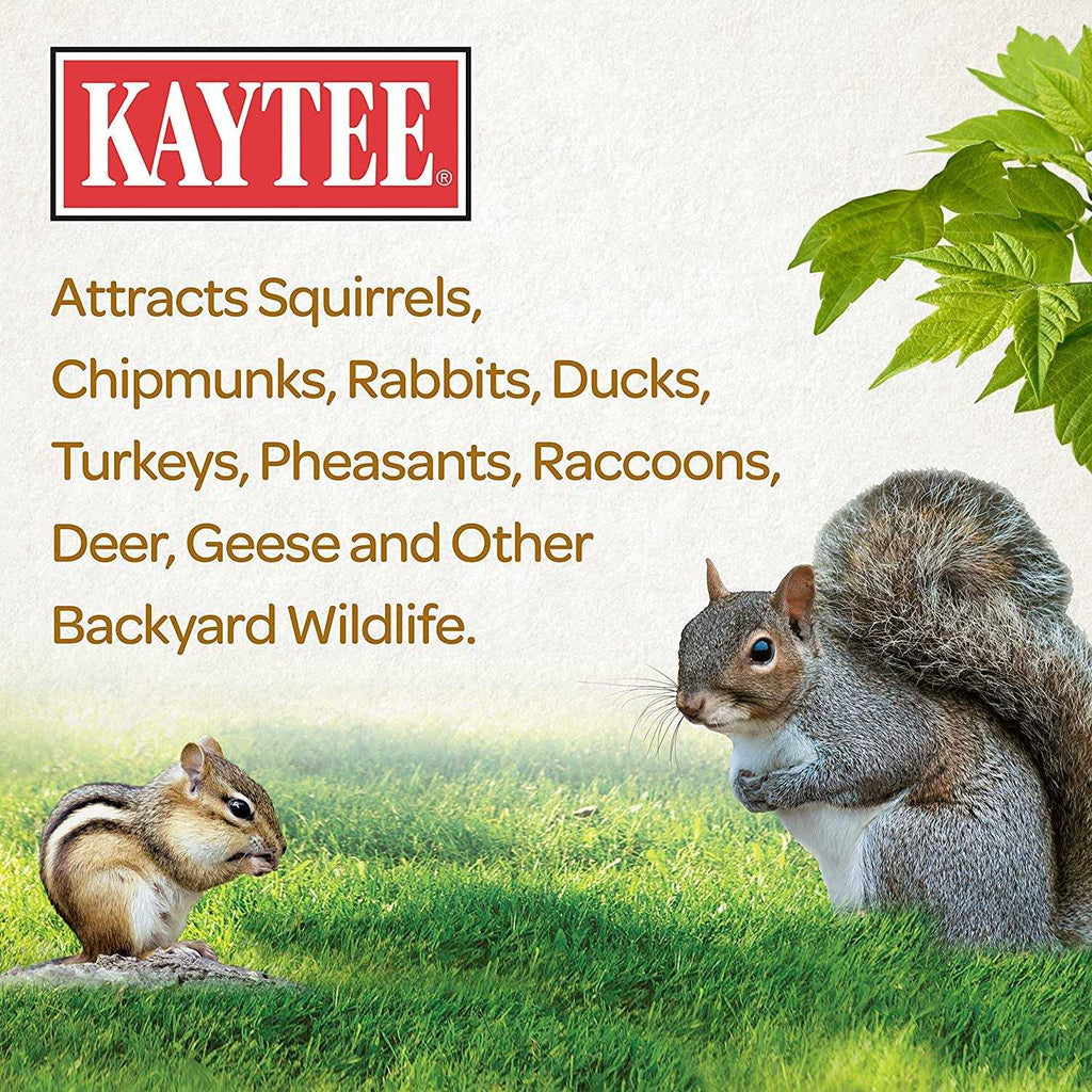 Squirrel Critter Food G187840
