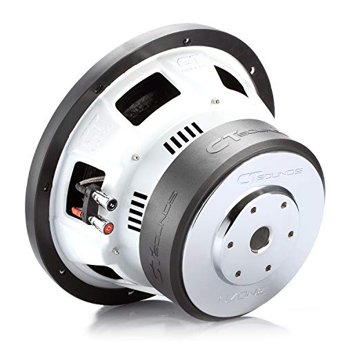 1600 Watts Dual 2 Ohm Car Subwoofer T6937
