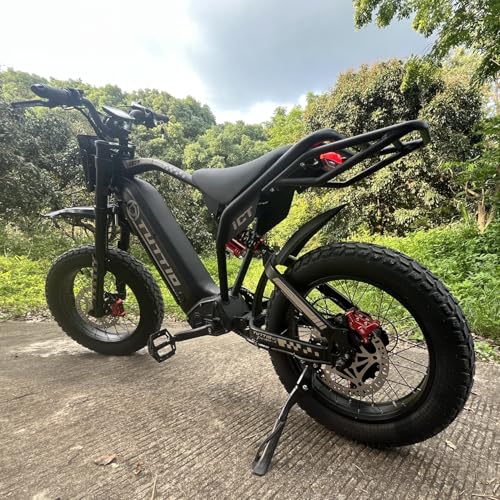 20" Fat Tire Electric Dirt Bike C561958