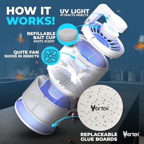 Indoor Insect Trap UV Light Suction Glue Board Bug Light Fruit Fly Trap (Black) R606639
