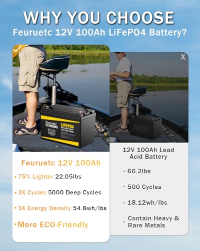 2 Pack 12V 100Ah Lithium LiFePO4 Battery with 100A BMS R811113