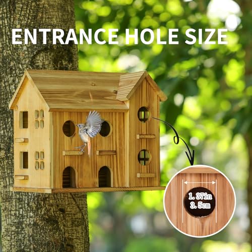 10 Hole Hanging Birdhouse Kit J11881