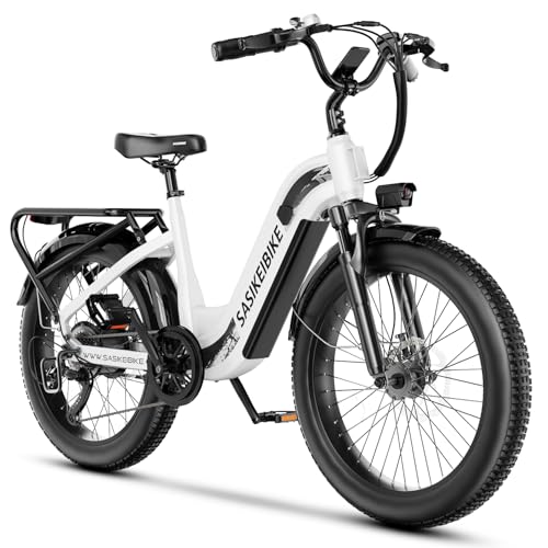 24" Fat Tire Electric Bike, 48V 20AH Removable Battery, 7 Speed G4254