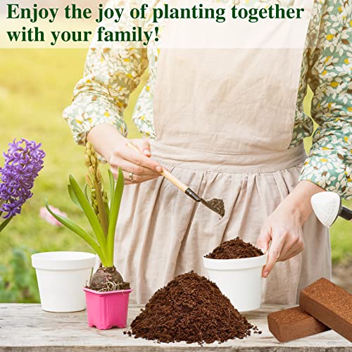 10 Pack 24 Gallons 14Lbs Compressed Coco Coir Potting Soil Z351605