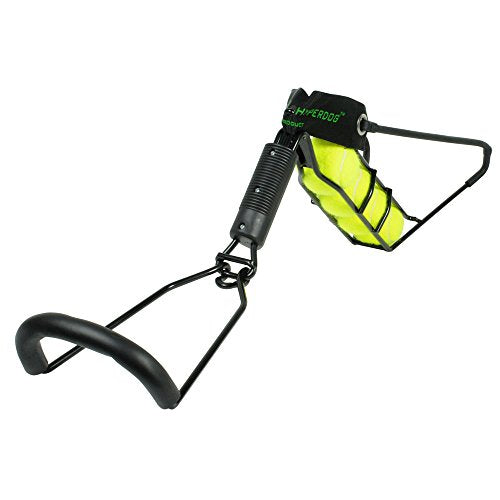 Interactive Dog Toy with 1 Tennis Ball S831