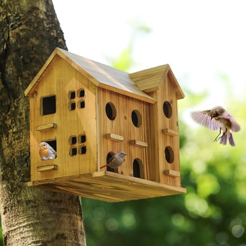 10 Hole Hanging Birdhouse Kit J11881