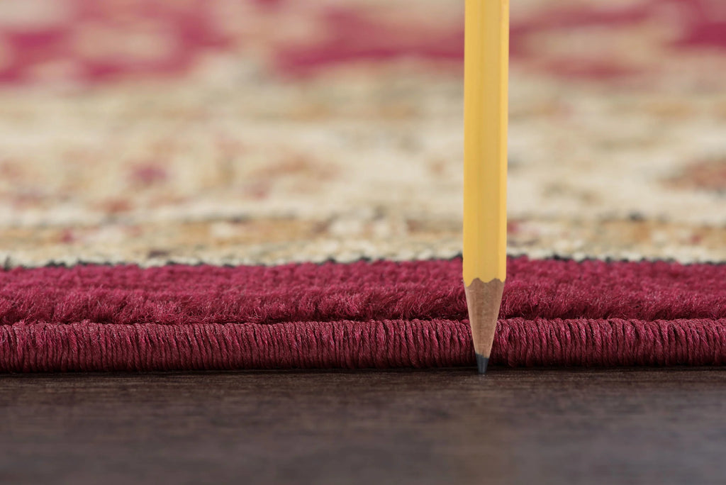 8x10 Red Traditional Area Rug G932